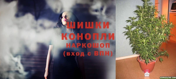винт Алексин