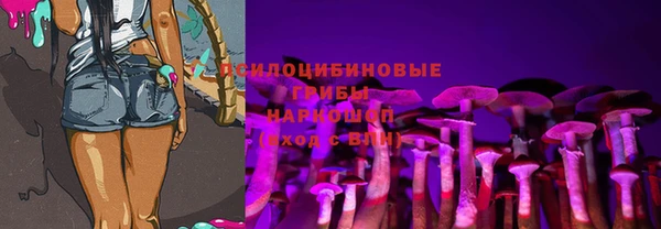 стаф Аркадак