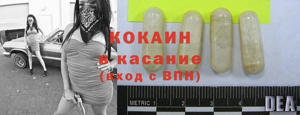 амф Алзамай