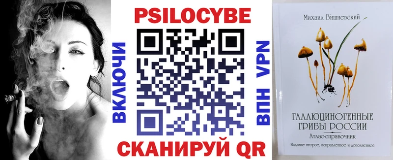 Псилоцибиновые грибы GOLDEN TEACHER  ОМГ ОМГ онион  Николаевск-на-Амуре 