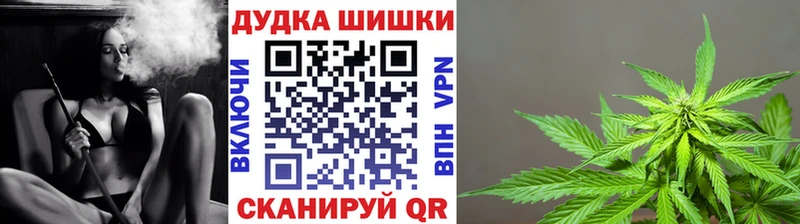 Бошки марихуана гибрид  как найти закладки  Николаевск-на-Амуре 